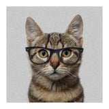 Cat Geek (Print Only) thumbnail