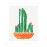 Tiny Cactus Blossoms (Print Only) thumbnail