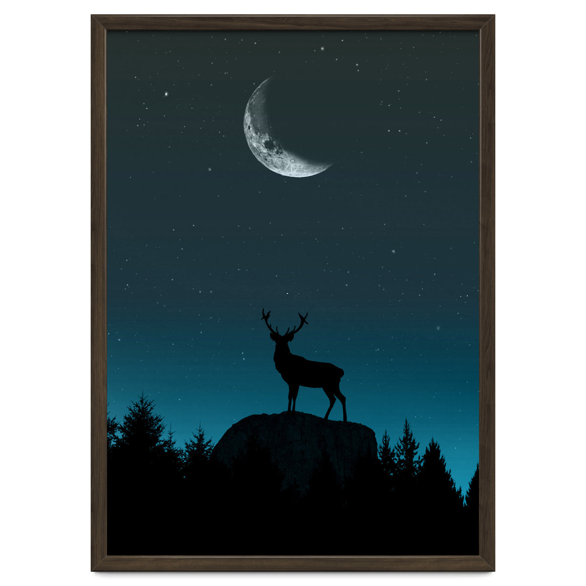 Wild Nature - Nocturne