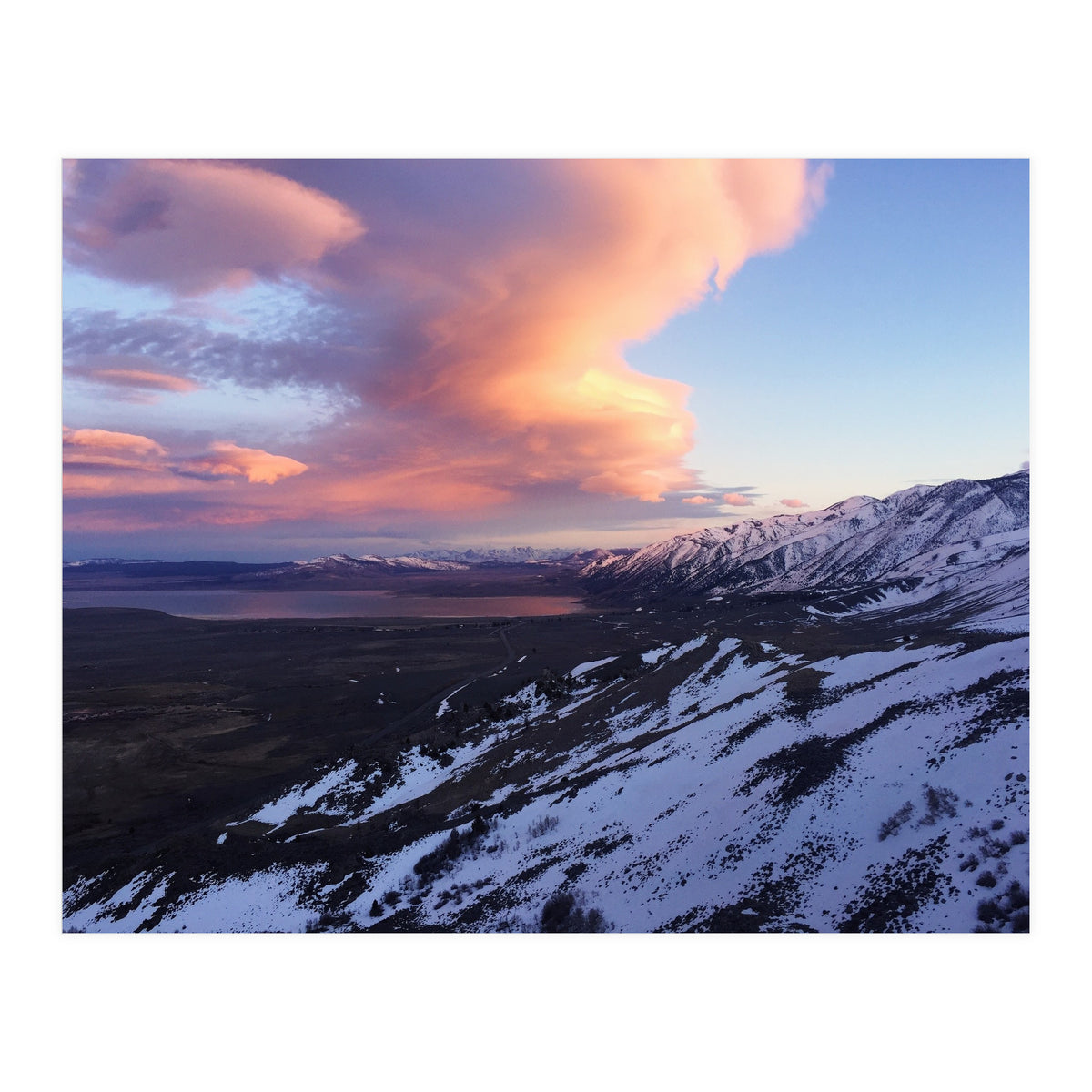 Mammoth (Print Only)