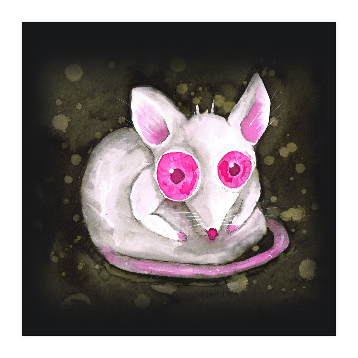 Albino rat (Print Only)