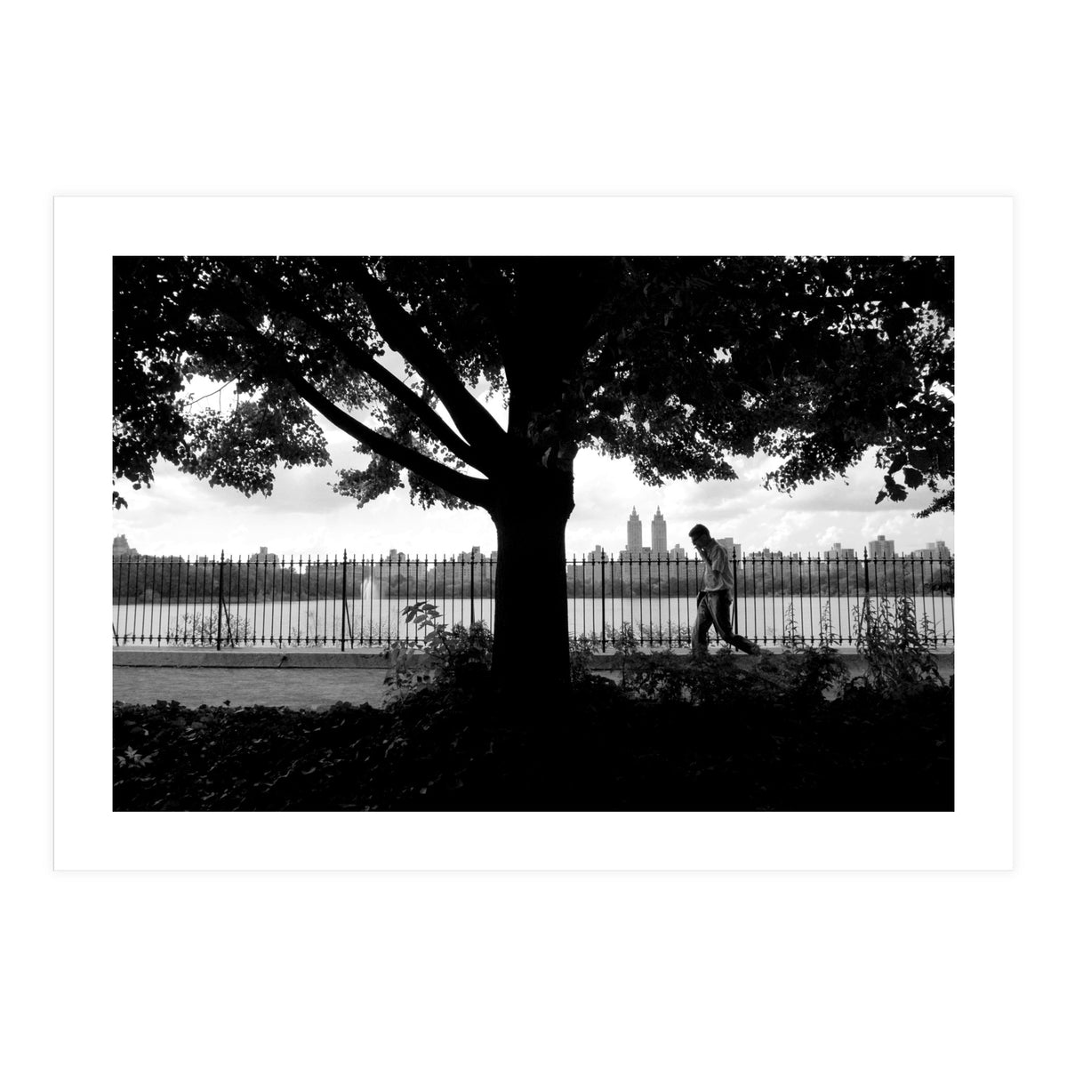 Central Park, New York City (Print Only)