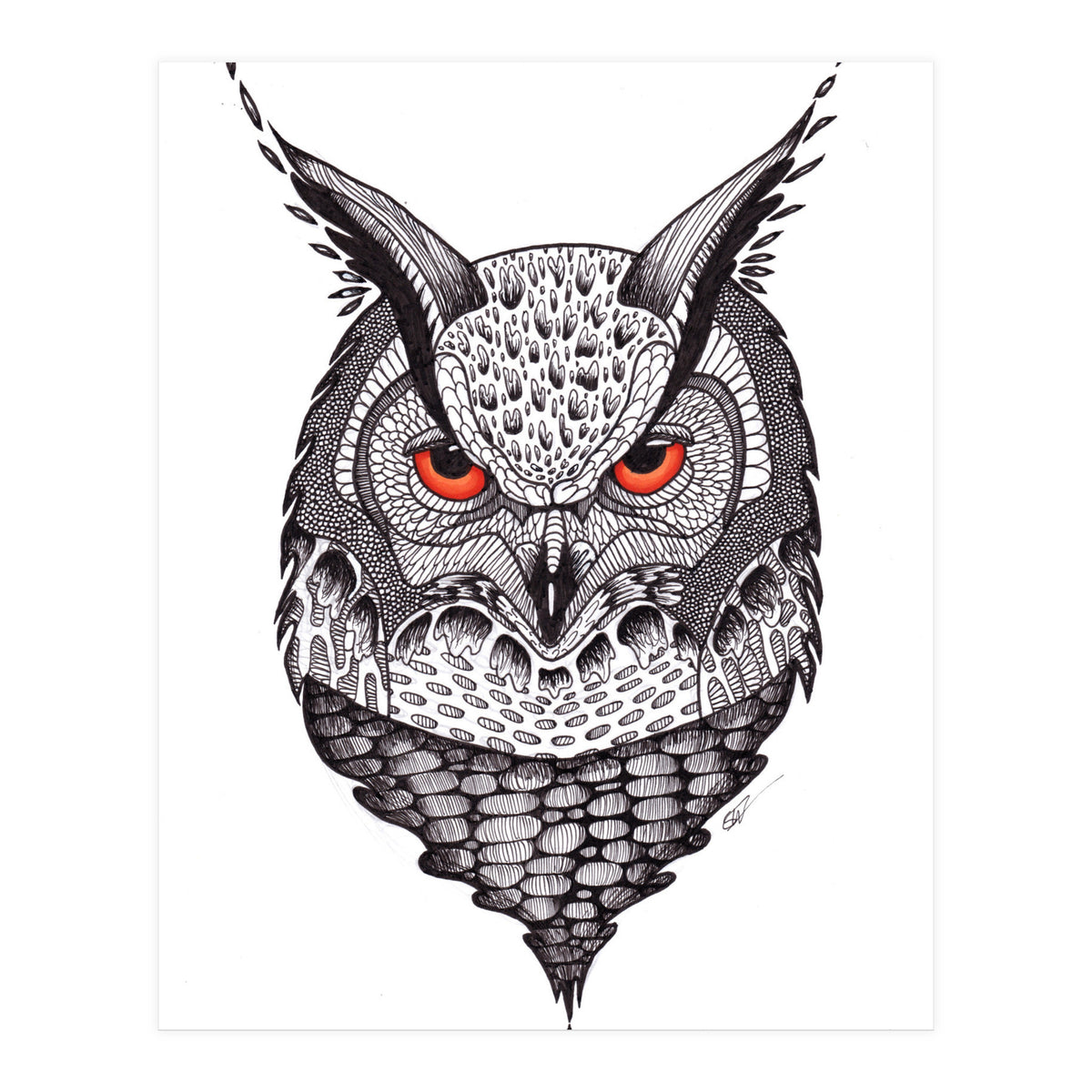 Owl (Print Only)