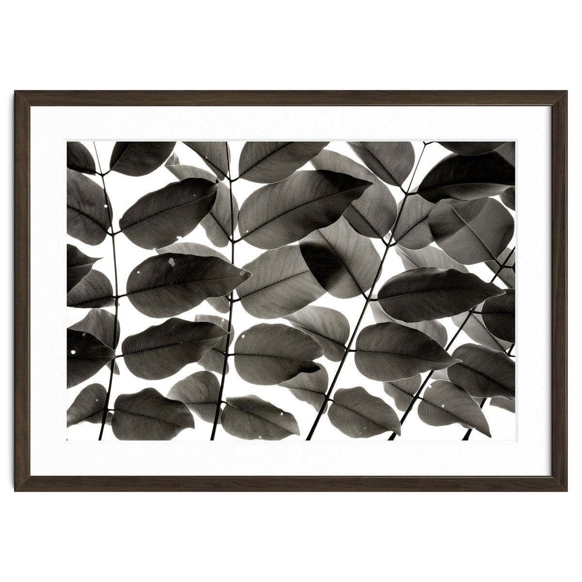 Branches and Leaves I