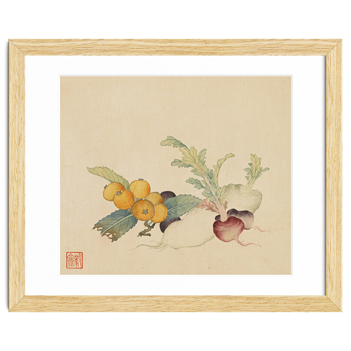 Wang Chengpi~flowers And Vegetables, Vegetables, Fruits, Loquat, White Radish, Carrot, Radish