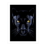 Panther (Print Only) thumbnail