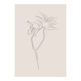Flower 01 (Print Only) thumbnail
