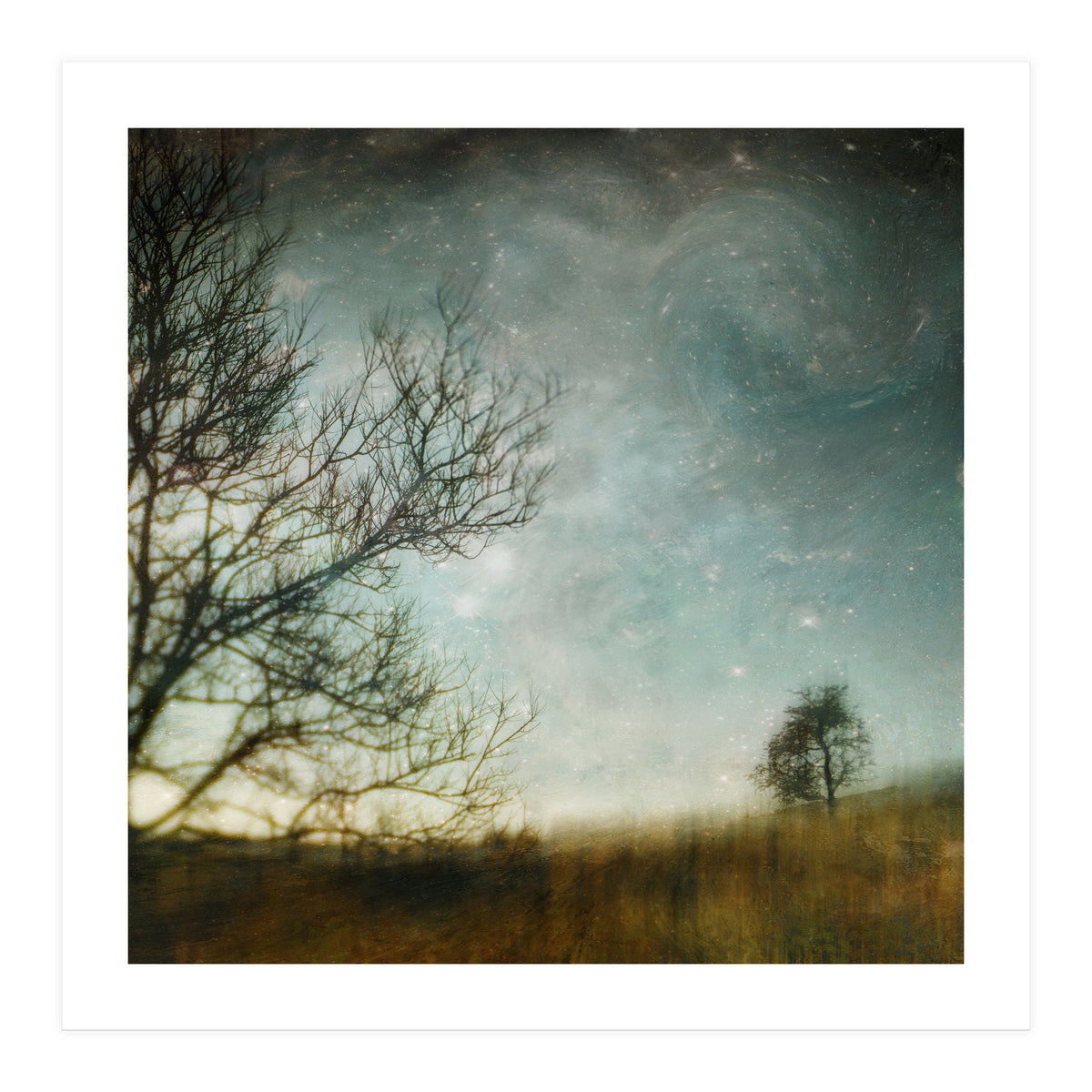The Tree That Whispered (Print Only)