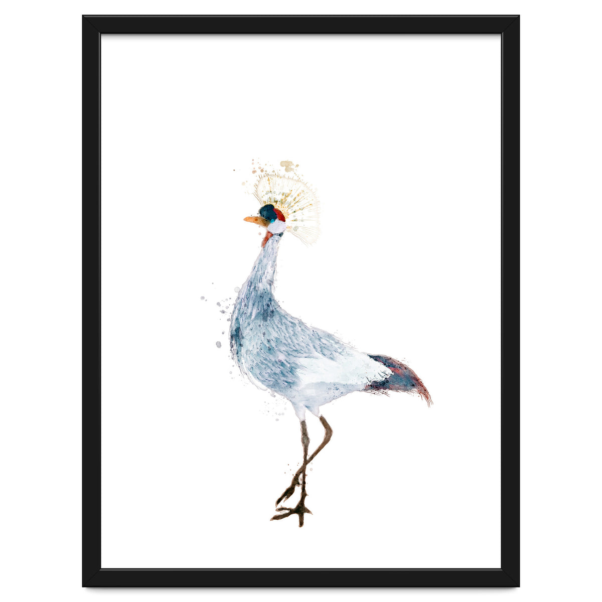 Watercolor Grey Crowned Crane
