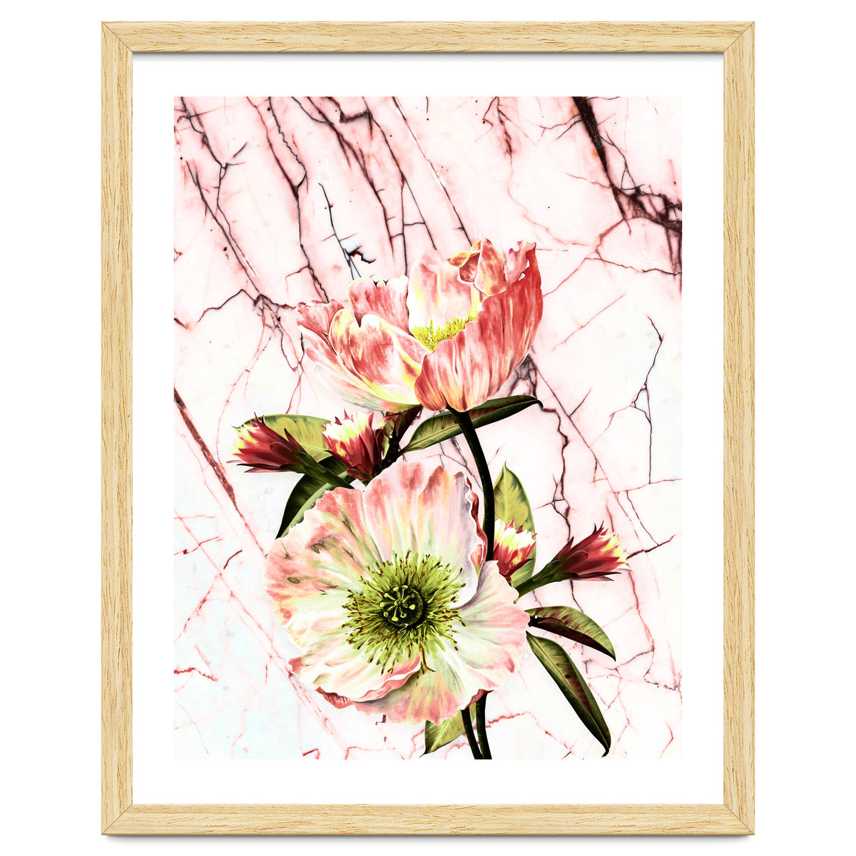 Flowering on pink marble