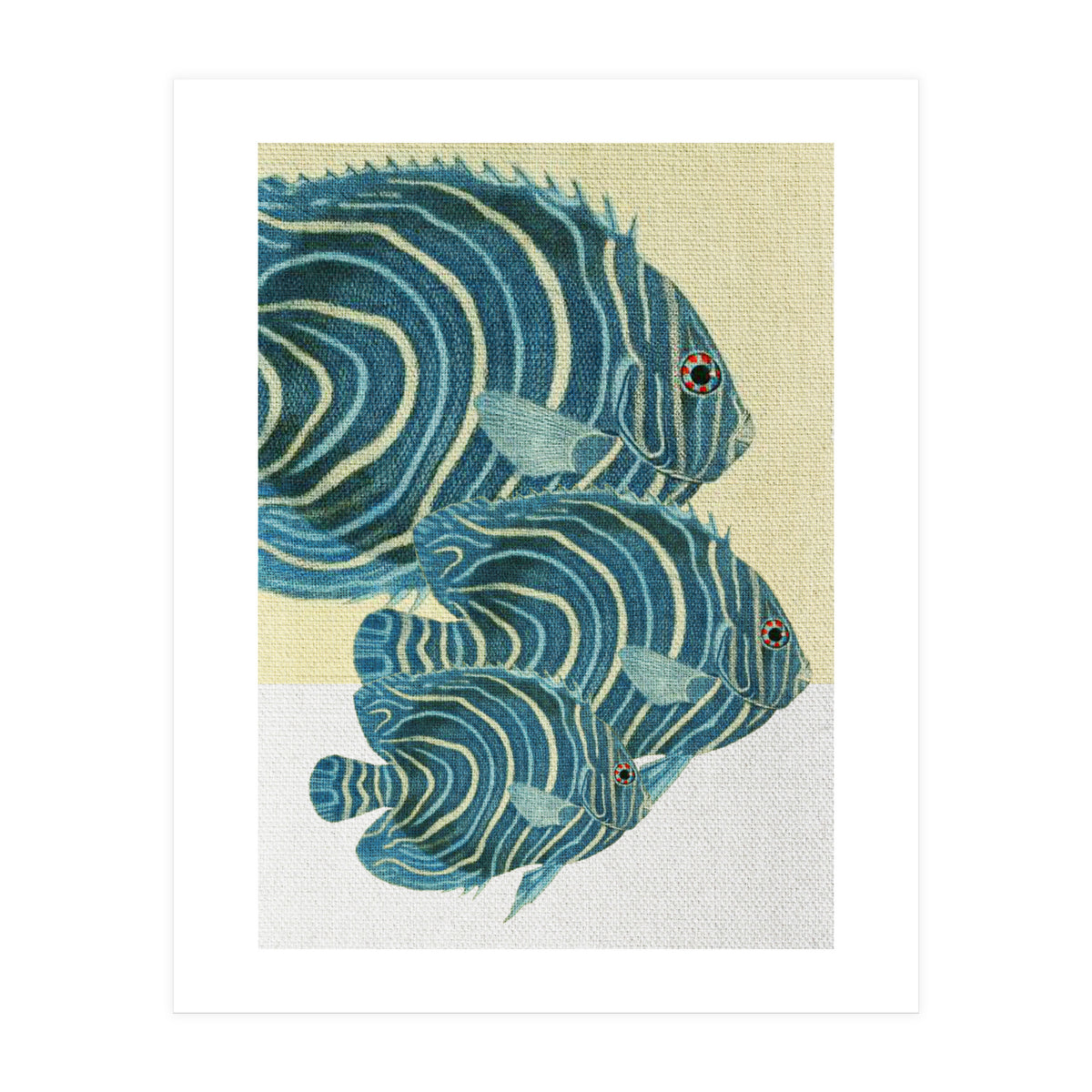 Fish Classic Designs 9 (Print Only)