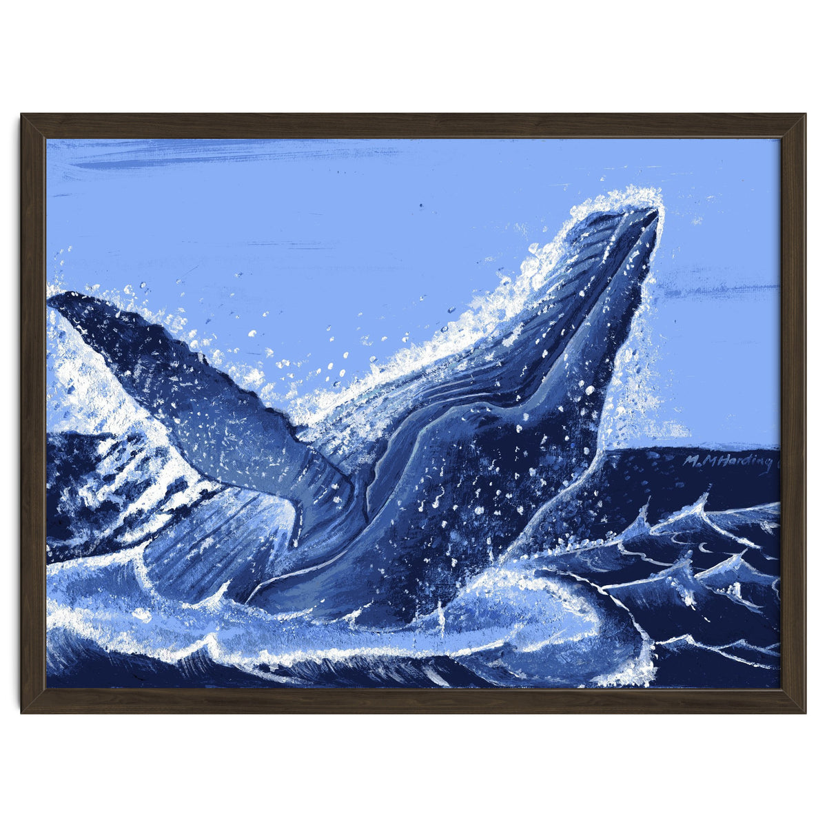 Humpback Whale Breaching