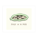 Pugs In A Pod (Print Only) thumbnail