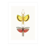 Cc Insects 08 (Print Only) thumbnail