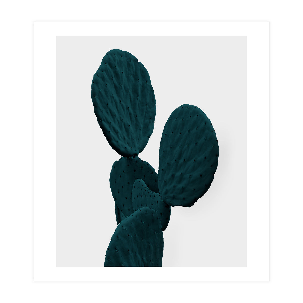 Cactus Art (Print Only)