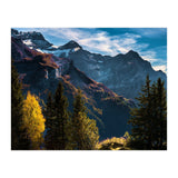 Nature SPIRIT (Print Only) thumbnail