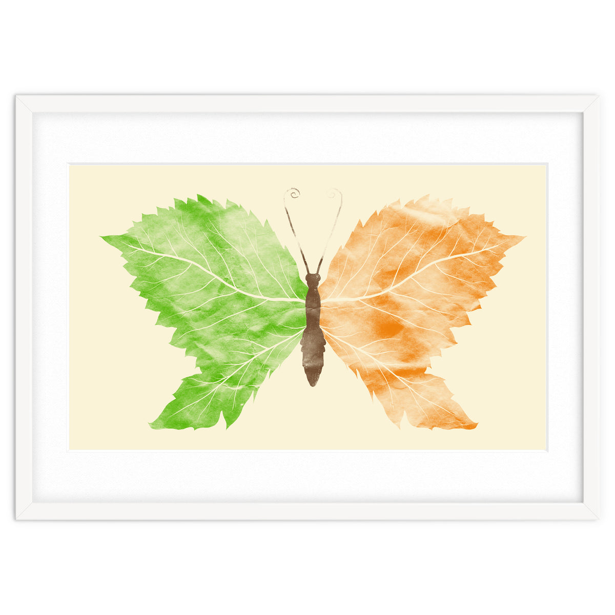 Seasons Change Time Flies