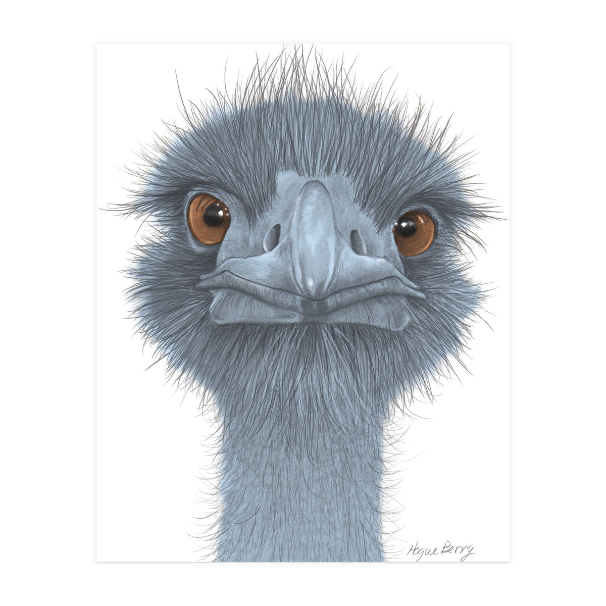 The Blue Emu (Print Only)